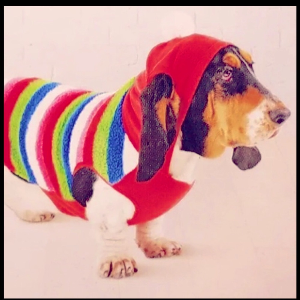 Dog  hoodie striped fleece NWT